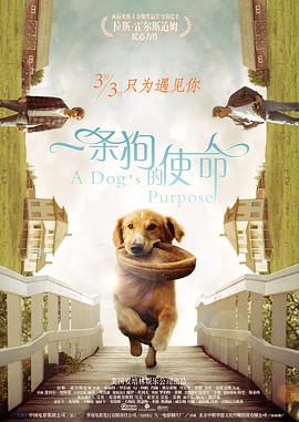 一边摸一边伸进内裤里