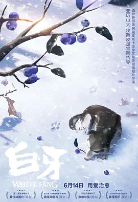 欧美亚洲国产精品久久高清