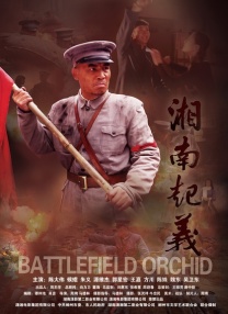 精品一区二区三区不卡高清