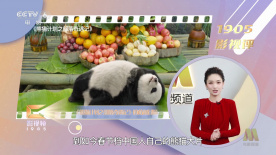 国外成人网址