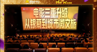 chinese少妇
