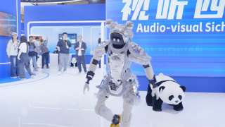 国产精品毛片无遮挡高清
